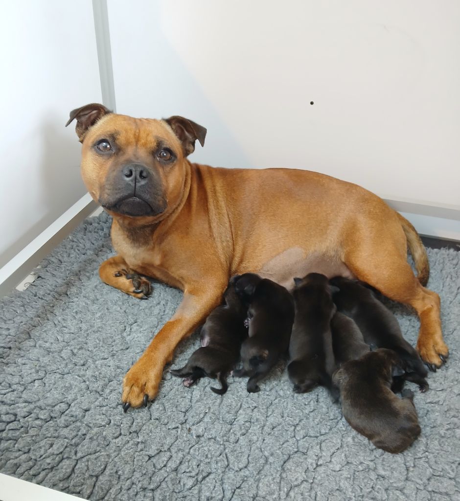 Naissance